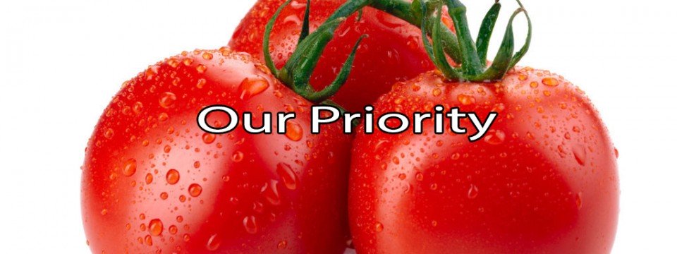 FOOD SAFETY